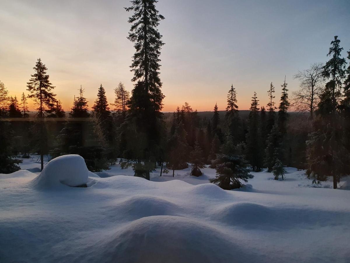 Hietavilla Aurora Ruka Luaran gambar