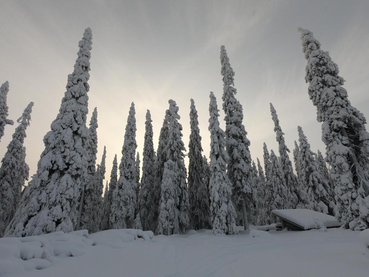 Hietavilla Aurora Ruka Luaran gambar