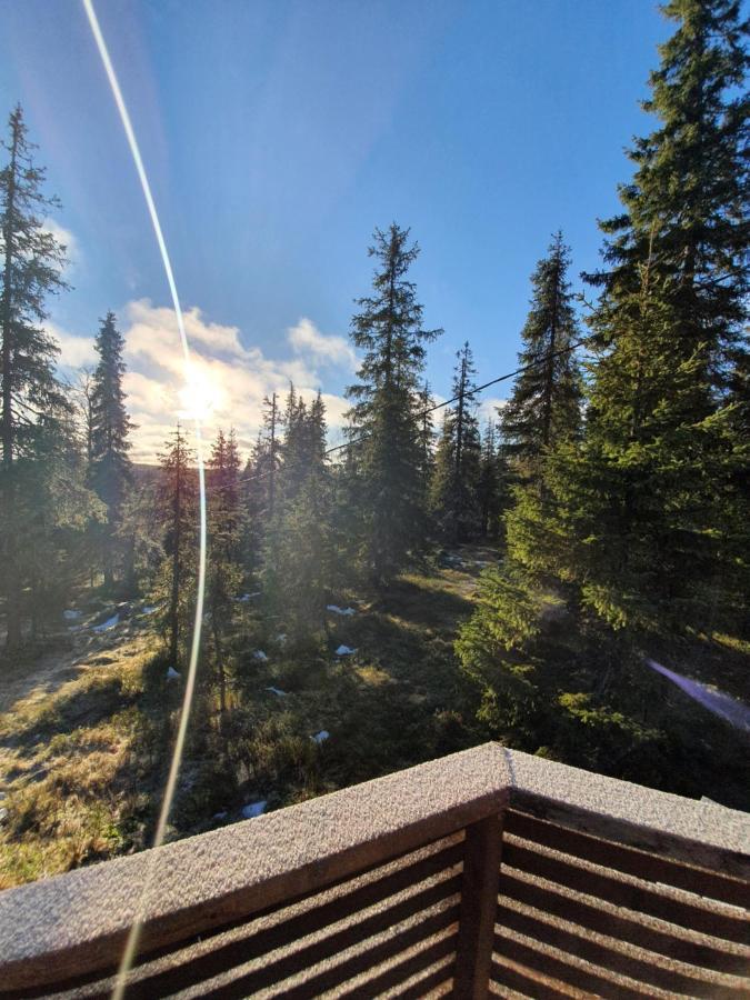 Hietavilla Aurora Ruka Luaran gambar