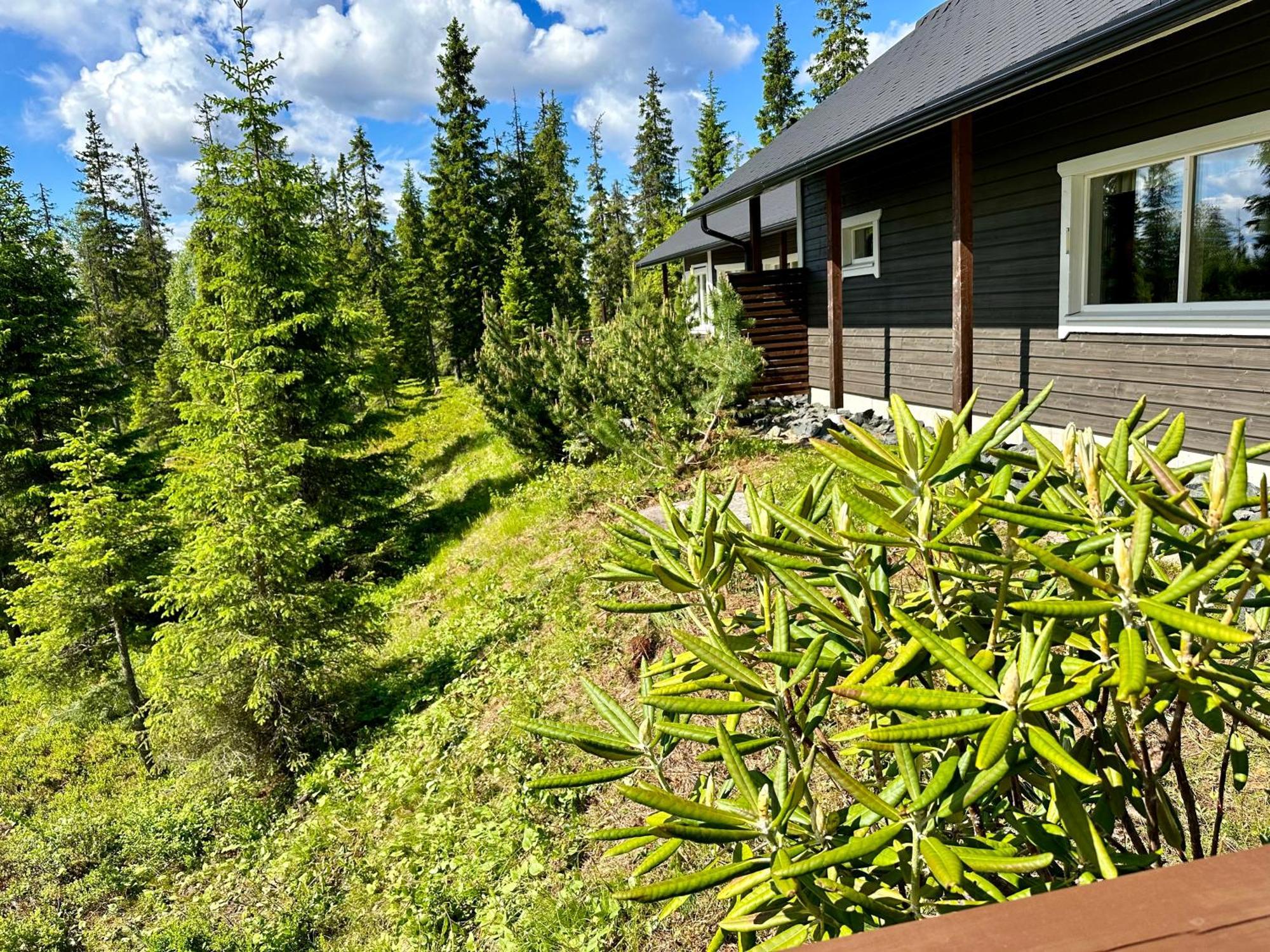 Hietavilla Aurora Ruka Luaran gambar